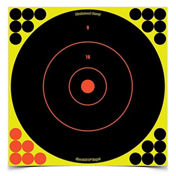 SHOOT-N-C 1 SHOOT-N-C 12 Inch Bullseye Targets - Multi Pack With Pasters