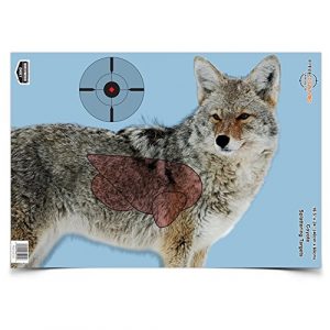 Birchwood Casey  1 Birchwood Casey 35405 Pre Game Coyote 16.5 x 24 Target, 3-Pack