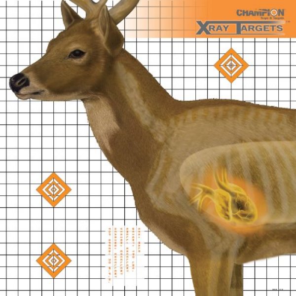 Champion Traps and Targets  1 Champion Traps and Targets, Deer Target 25x25 (6 Pack)
