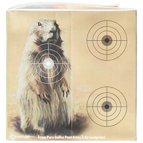 Crosman 2 Crosman Varmint Target Block