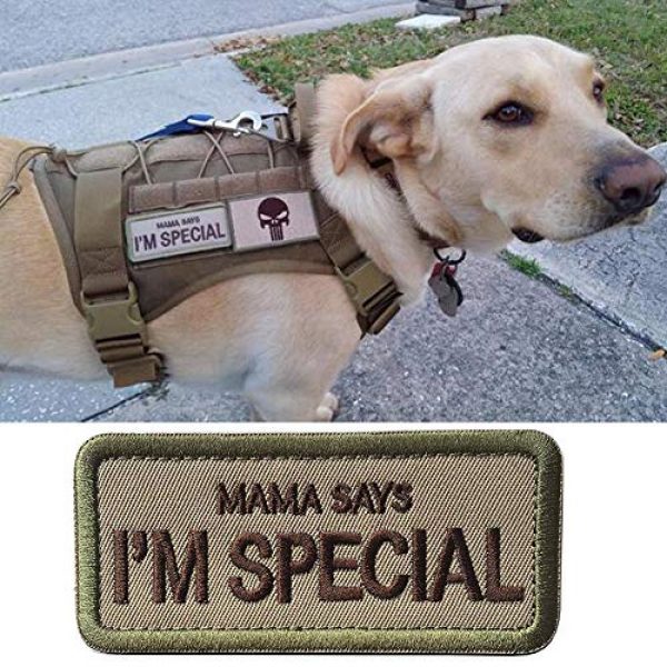 WindCar Airsoft Morale Patch 2 WindCar Tactical Morale Military Patches 2 pcs Funny Emblem Badge Mama Says I'm Special (2 pcs - Mama Says I'm Special)