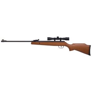 Crosman Air Rifle 1 Crosman air Rifle