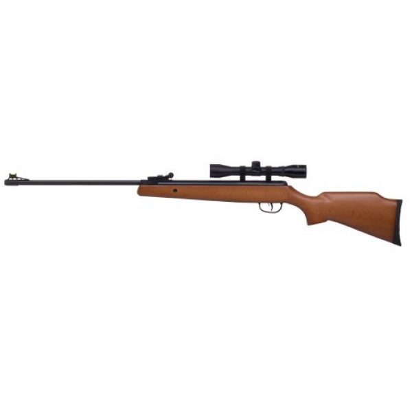 Crosman Air Rifle 1 Crosman air Rifle