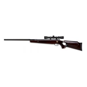 Beeman Air Rifle 1 Beeman Sportsman Bear Claw 10862 Air Rifle Combo with 3-9x32x 40mm