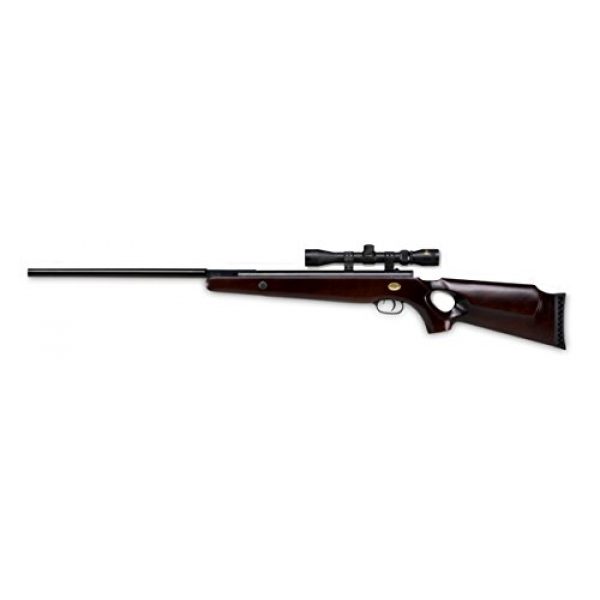 Beeman Air Rifle 1 Beeman Sportsman Bear Claw 10862 Air Rifle Combo with 3-9x32x 40mm