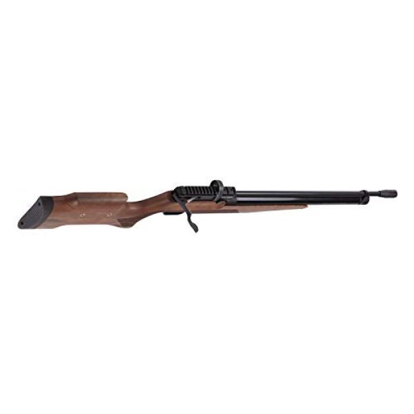 Benjamin Air Rifle 3 Benjamin Cayden BPC22W .22-Caliber PCP-Powered Multi-Shot Side Lever Hunting Air Rifle