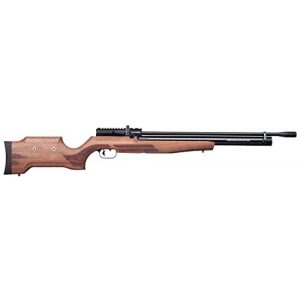 Benjamin Air Rifle 1 Benjamin Cayden BPC22W .22-Caliber PCP-Powered Multi-Shot Side Lever Hunting Air Rifle