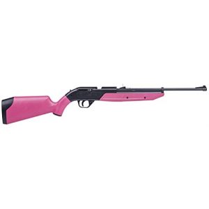 Crosman Air Rifle 1 Crosman 760 Pumpmaster, Pink Stock air rifle