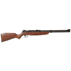 Benjamin Air Rifle 1 Benjamin BP9M22GP Discovery .22-Caliber PCP-Powered And Pump Air Rifle