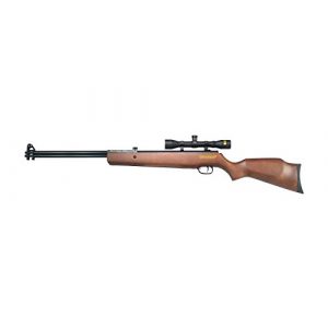 Beeman Air Rifle 1 Beeman Sportsman Double Barrel 2016W Dual Caliber Air Rifle Como with 4x32x 40mm