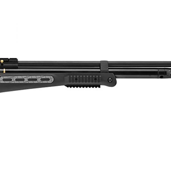 Wearable4U Air Rifle 5 Hatsan BT65SB Elite Quiet Energy Air Rifle with Included Wearable4U 100x Paper Targets and Lead Pellets Bundle