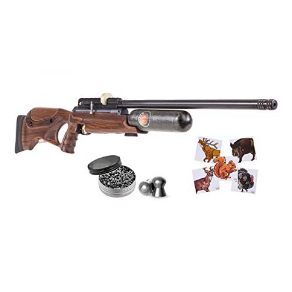 Hatsan Air Rifle 1 Hatsan NeutronStar New Air Rifle with Pack of Pellets and 100x Paper Targets Bundle