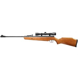 RUGER Air Rifle 1 Ruger Air Hawk Combo w/4X32 .177