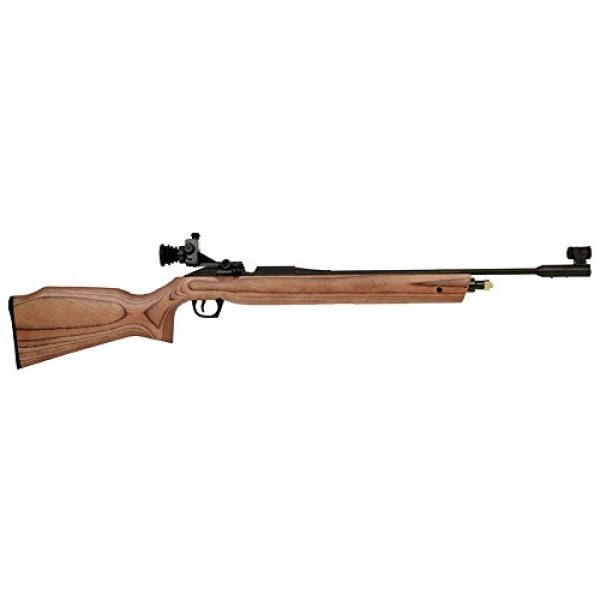 Daisy Air Rifle 1 Daisy Avanti Model 887 Gold Medalist