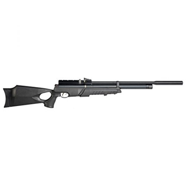 Hatsan Air Rifle 1 Hatsan AT44PA10 Pump Action QE .177cal Airgun, Black (HGAT44PA10-177 QE)