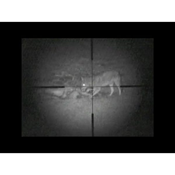 Digital Crosshairs Rifle Scope 4 Digital Crosshairs 1000 Night Vision Clip-on