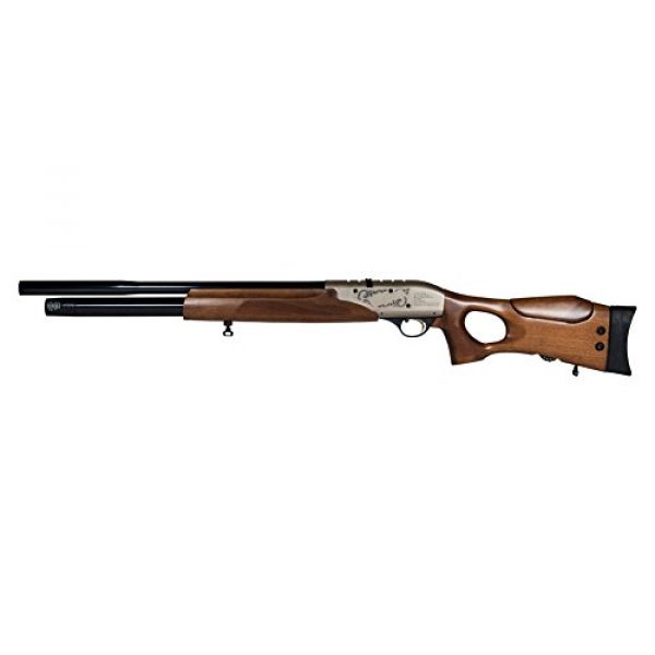 Wearable4U Air Rifle 5 Hatsan Galatian Walnut QE Air Rifle with Included Wearable4U 100x Paper Targets and Lead Pellets Bundle