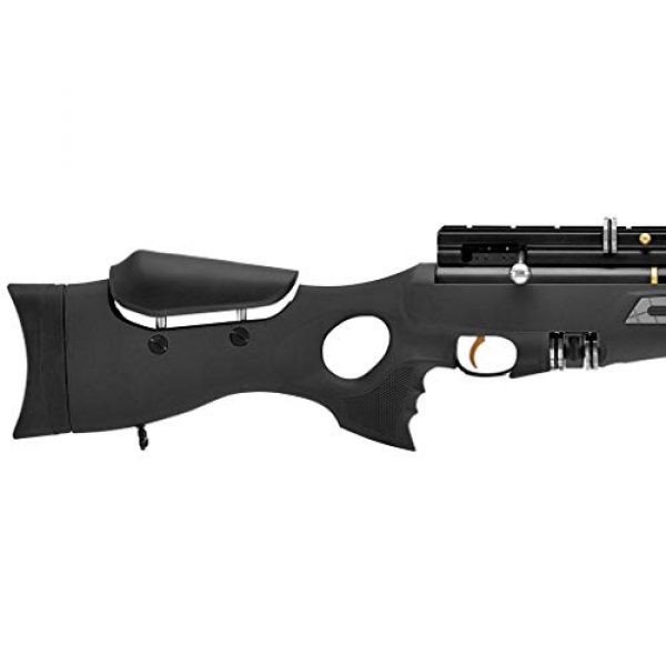 Wearable4U Air Rifle 4 Hatsan BT65SB Elite Quiet Energy Air Rifle with Included Wearable4U 100x Paper Targets and Lead Pellets Bundle
