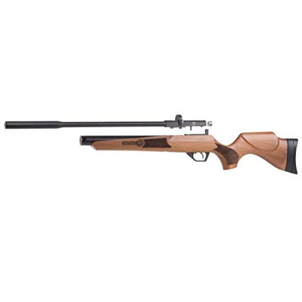 Wearable4U Air Rifle 7 Wearable4U Hatsan Hydra New .25 Cal Air Rifle with Included 100x Paper Targets and 150x .25cal Lead Pellets Bundle