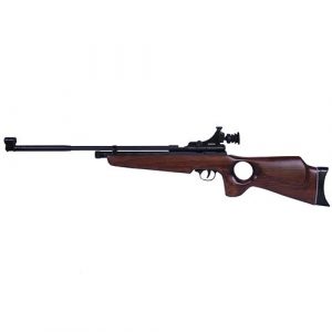 Beeman Air Rifle 1 Beeman, SAG CO2 Air Rifle.22 Caliber with Thumbhole Stock