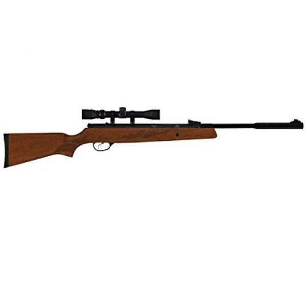 Wearable4U Air Rifle 3 Hatsan Mod 95 Vortex Combo QuietEnergy QE Air Rifle, Walnut with Included Wearable4U 100x Paper Targets and Lead Pellets Bundle
