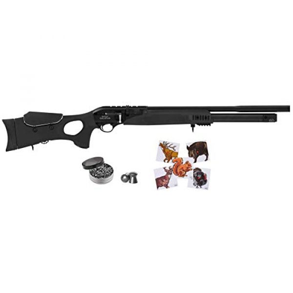 Wearable4U Air Rifle 1 Hatsan Galatian III QuietEnergy Air Rifle with Included Wearable4U 100x Paper Targets and Lead Pellets Bundle