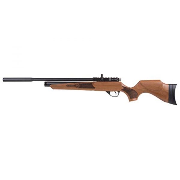 Wearable4U Air Rifle 6 Wearable4U Hatsan Hydra New .25 Cal Air Rifle with Included 100x Paper Targets and 150x .25cal Lead Pellets Bundle