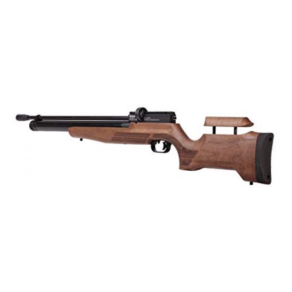 Benjamin Air Rifle 5 Benjamin Cayden BPC22W .22-Caliber PCP-Powered Multi-Shot Side Lever Hunting Air Rifle