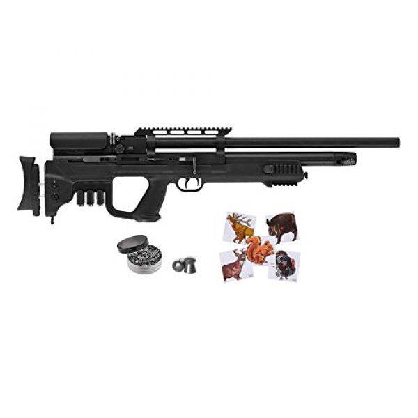 Wearable4U Air Rifle 1 Hatsan Gladius Air Rifle with Included Wearable4U 100x Paper Targets and Lead Pellets Bundle