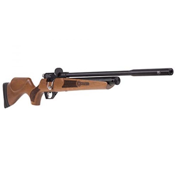 Wearable4U Air Rifle 4 Wearable4U Hatsan Hydra New .25 Cal Air Rifle with Included 100x Paper Targets and 150x .25cal Lead Pellets Bundle
