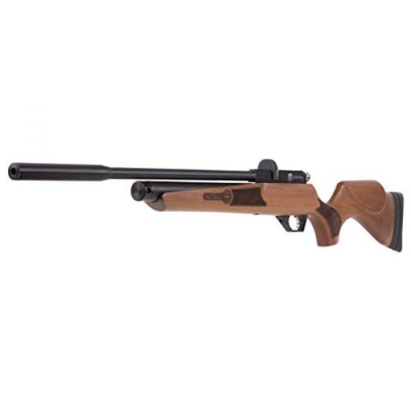 Wearable4U Air Rifle 3 Wearable4U Hatsan Hydra New .25 Cal Air Rifle with Included 100x Paper Targets and 150x .25cal Lead Pellets Bundle