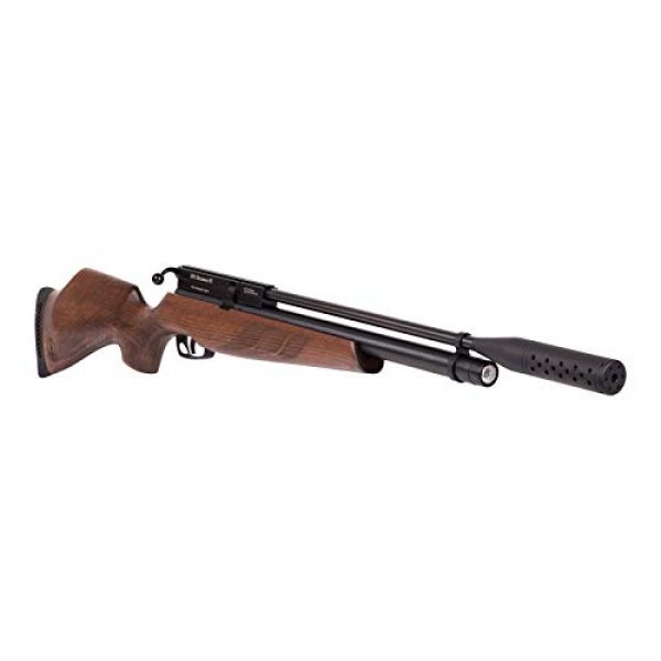 BSA Air Rifle 4 BSA Guns .22 Caliber Buccaneer SE 140054 Air Rifle 8 Shot Magazine
