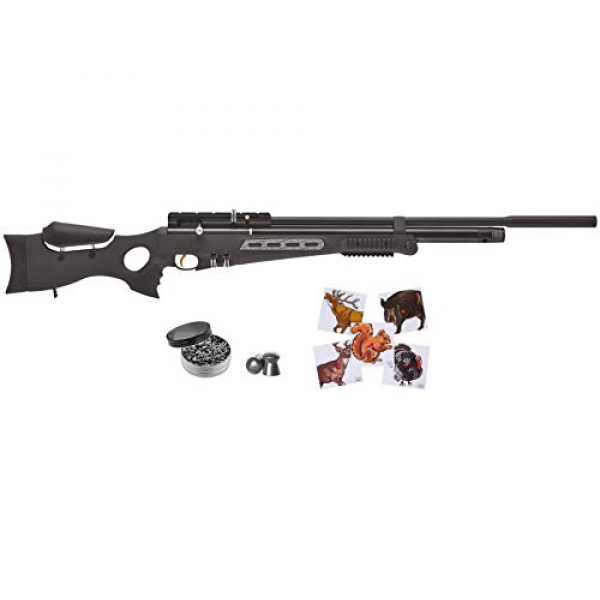 Wearable4U Air Rifle 1 Hatsan BT65SB Elite Quiet Energy Air Rifle with Included Wearable4U 100x Paper Targets and Lead Pellets Bundle