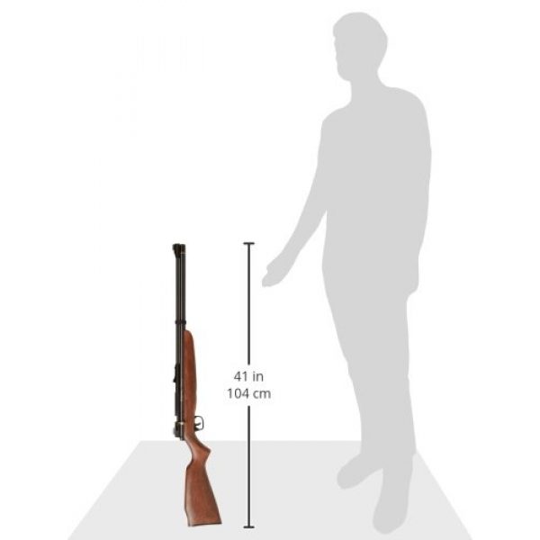 Benjamin Air Rifle 4 Benjamin BP9M22GP Discovery .22-Caliber PCP-Powered And Pump Air Rifle