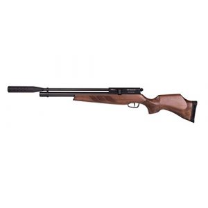 BSA Air Rifle 1 BSA Guns .22 Caliber Buccaneer SE 140054 Air Rifle 8 Shot Magazine