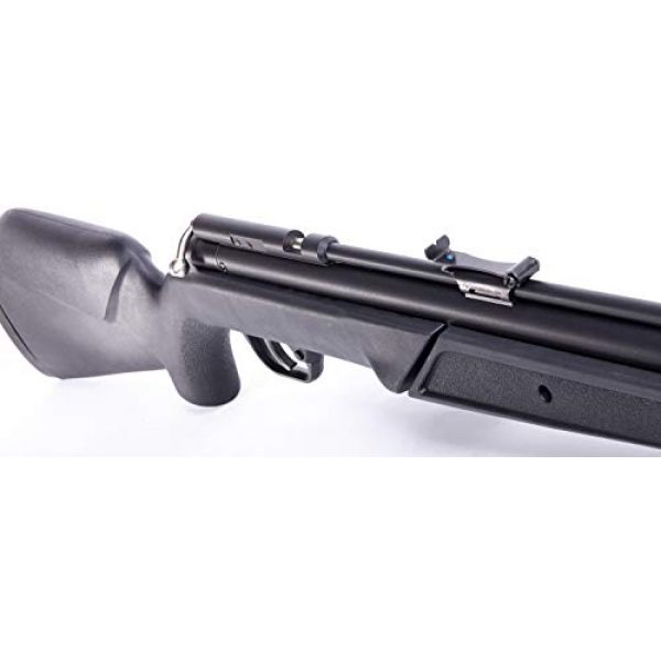 Benjamin Air Rifle 3 Benjamin 392S .22-Caliber Bolt Action Variable Pump Air Rifle, Black