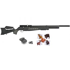 Wearable4U Air Rifle 1 Hatsan BT65SB QE Air Rifle with Included Wearable4U 100x Paper Targets and Lead Pellets Bundle