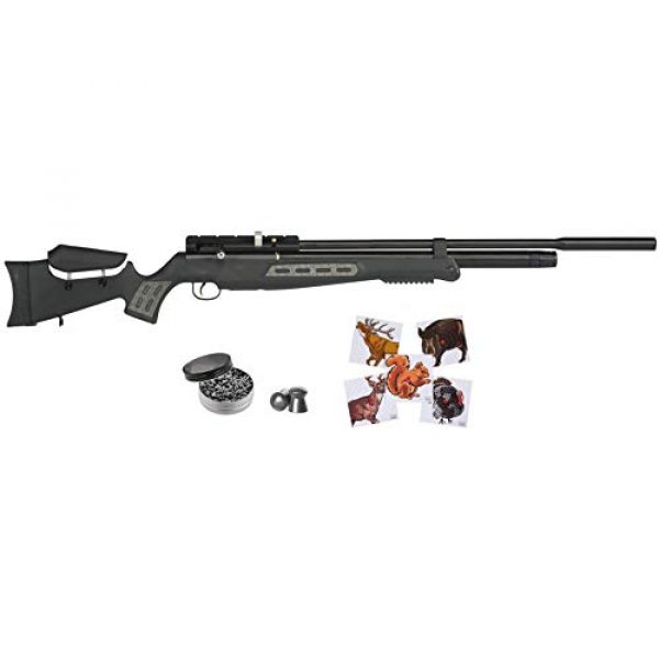 Wearable4U Air Rifle 1 Hatsan BT65SB QE Air Rifle with Included Wearable4U 100x Paper Targets and Lead Pellets Bundle