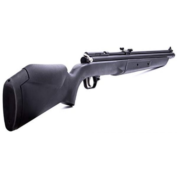 Benjamin Air Rifle 2 Benjamin 392S .22-Caliber Bolt Action Variable Pump Air Rifle, Black