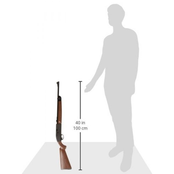 Crosman Air Rifle 4 Crosman Classic 2100 Rifle