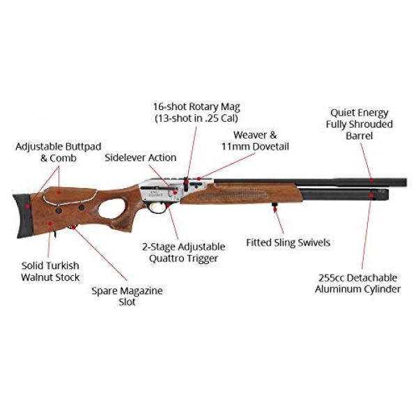 Wearable4U Air Rifle 2 Hatsan Galatian Walnut QE Air Rifle with Included Wearable4U 100x Paper Targets and Lead Pellets Bundle