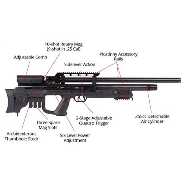 Wearable4U Air Rifle 2 Hatsan Gladius Long Air Rifle with Included Wearable4U 100x Paper Targets and Lead Pellets Bundle