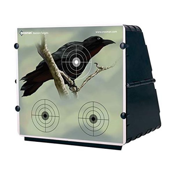 Crosman Air Rifle 2 Crosman 1077 Air Rifle