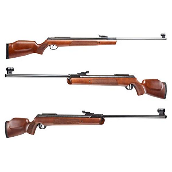 Wearable4U Air Rifle 6 Umarex RWS Model 3500 .22 Cal Break Barrel Air Rifle with Minelli Beechwood Stock with Wearable4U Bundle
