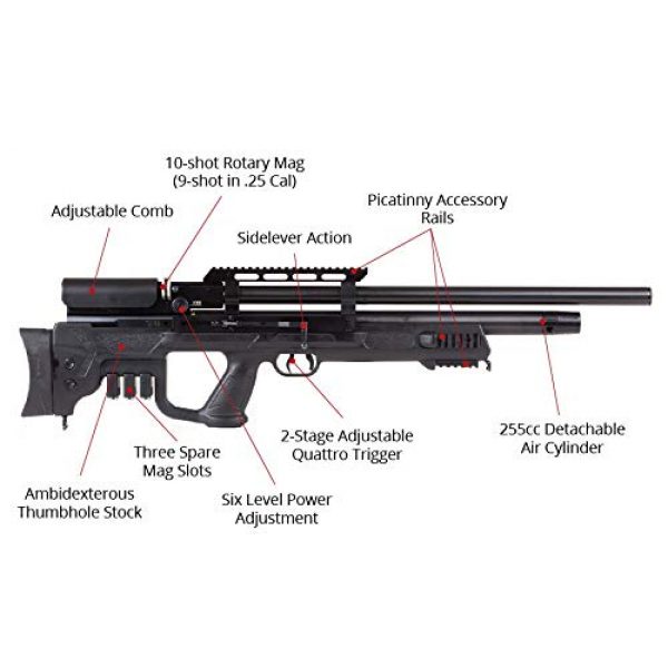 Wearable4U Air Rifle 2 Hatsan Gladius Air Rifle with Included Wearable4U 100x Paper Targets and Lead Pellets Bundle