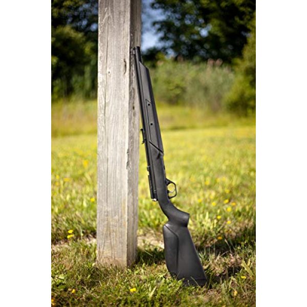 Benjamin Air Rifle 6 Benjamin 392S .22-Caliber Bolt Action Variable Pump Air Rifle, Black