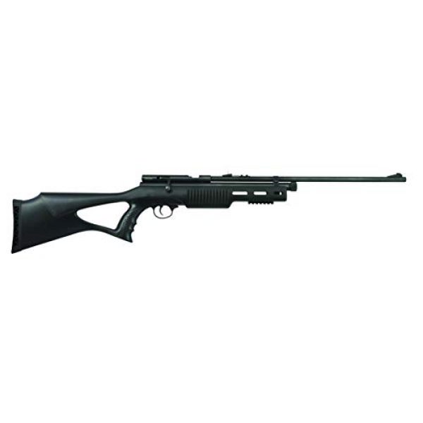 Beeman Air Rifle 2 Beeman, CO2 Air Rifle.177 Caliber, Rifled Barrel, 1 Shot, Synthetic Stock, Black