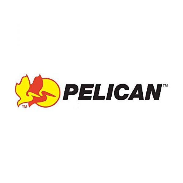 Pelican Rifle Case 1 Pelican 1740 Long Case with no Foam - Desert Tan