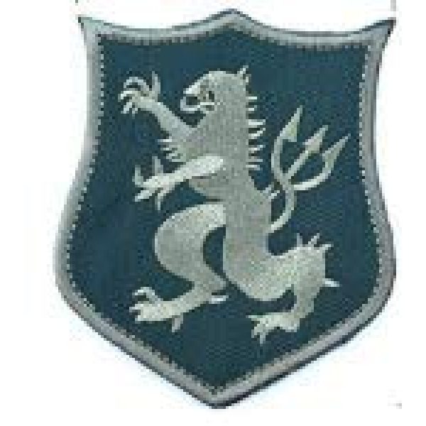 Tactical Embroidery Patch Airsoft Morale Patch 1 Navy Seal Devgru Squadron Crusader Lion Tactical Embroidery Patch Hook & Loop Morale Patch Military Patch for Clothing Accessory Backpack Armband (color3)