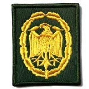 Tactical Embroidery Patch Airsoft Morale Patch 1 Deutschland Greman Imperial Eagle Germany Tactical Embroidery Patch Hook & Loop Morale Patch Military Patch for Clothing Accessory Backpack Armband (color1)